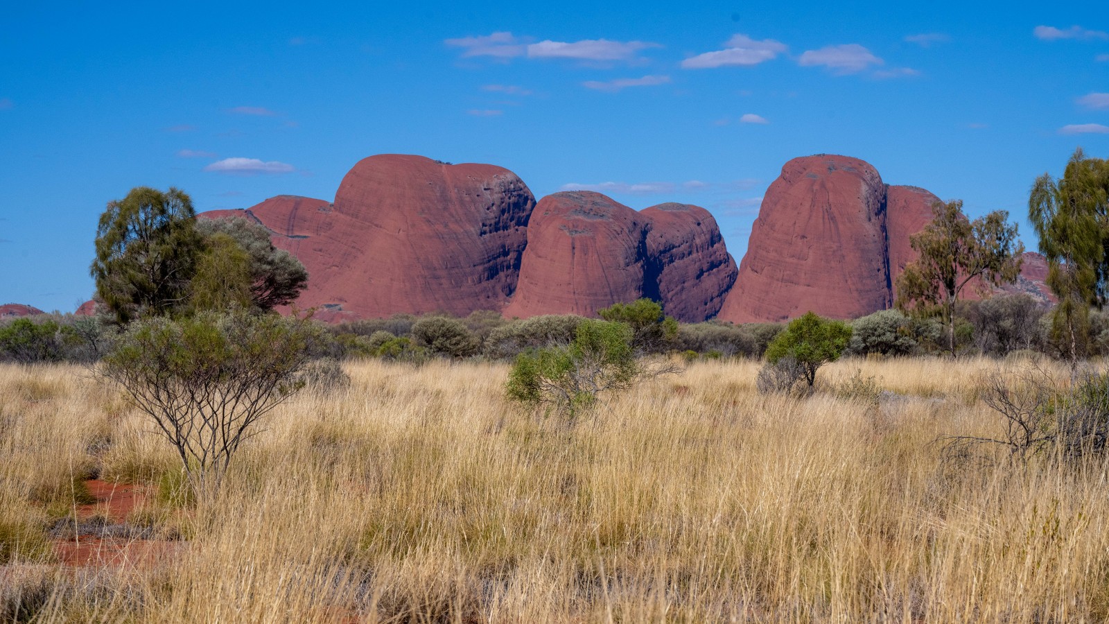 Kata Tjuta